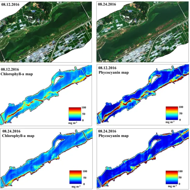 Fig. 5. Chlorophyll-a and phyocyanin concentration map compared to actural spatial distribution of algae on August 12 th and 24 th in 2016 from trained CNN model (Modified from Pyo et al., 2019)