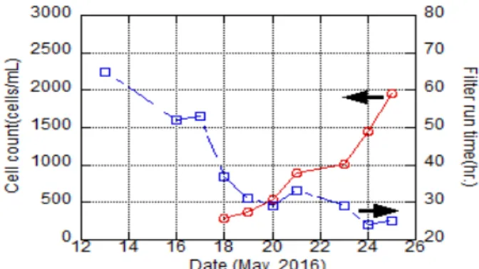 Fig. 1. Relationship between algae cell counts in raw water  and filter run time at A WTP (May, 2016).