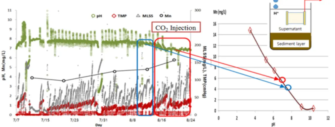 Fig. 12. TMP performance by pH(left) and soluble Mn concentration by pH(right).