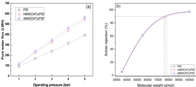 Fig. 8. Water permeability and NaCl rejection (a) normalized water flux (b) of TFC membranes fabricated with PSf and MWCNTs/PSf supports.