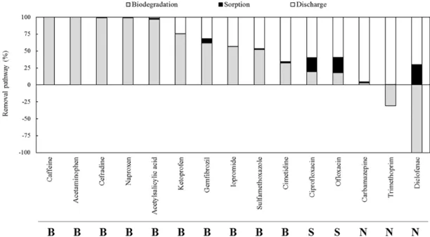 Fig. 5. Contributions of biodegradation and sorption to the removal of pharmaceuticals in the A2O process