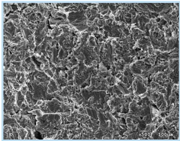 Fig. 1.  SS II fixture. Fig. 2.  SEM (X1000), SS II RBM surface 