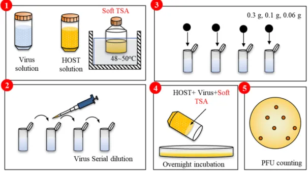 Fig. 1. The process of testing disinfection.
