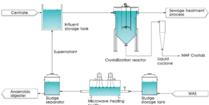 Fig. 1. Schematic diagram of phosphorus release and recovery  system.