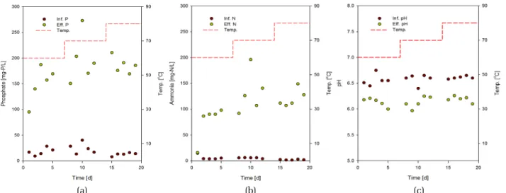 Fig. 2. Behaviour of (a) phosphorus, (b) ammonium nitrogen and (c) pH on waste activated sludge by microwave heating.