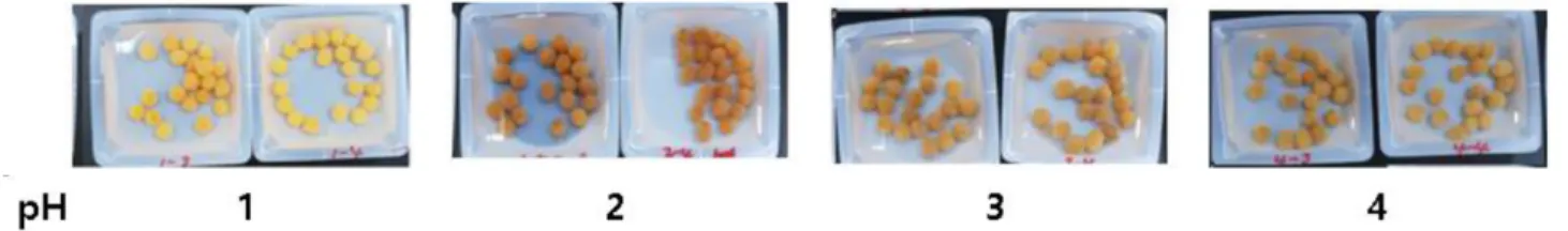 Fig. 1. Photograph of HCB-G at different initial pH solution after 7days.