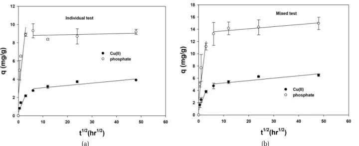 Fig. 5. Intraparticle diffusion model for Cu(II) and phosphate at individual (a) and mixed (b) component.