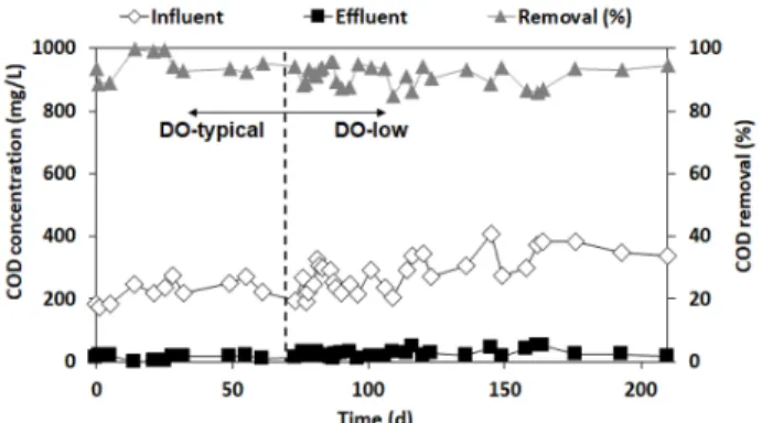 Fig. 2. COD reduction in the sequencing batch reactor. 농도가  0.33 mg/L로  운전될  시  처리공정이  안정되게  운전될 수 있었고 생물학적 인제거에 거의 영향을 미 치지 않았다  (Keene et al., 2017)