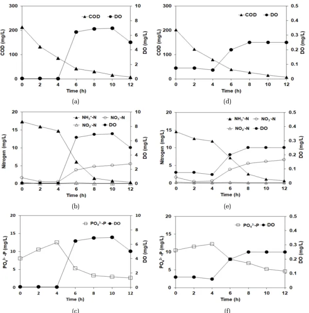 Fig. 6.  Batch  mode  experiment  at  one  cycle  (12  hr):  (a,  b,  c)  at  typical  DO  condition  and  (d,  e,  f)  at  low  DO  condition.