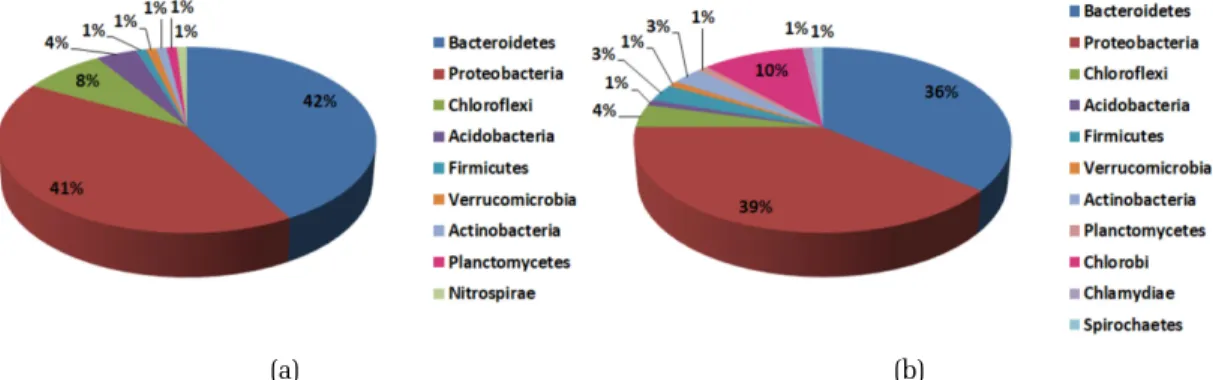 Fig. 8은 class level에서 분류한 것으로 Gammaproteobacteria