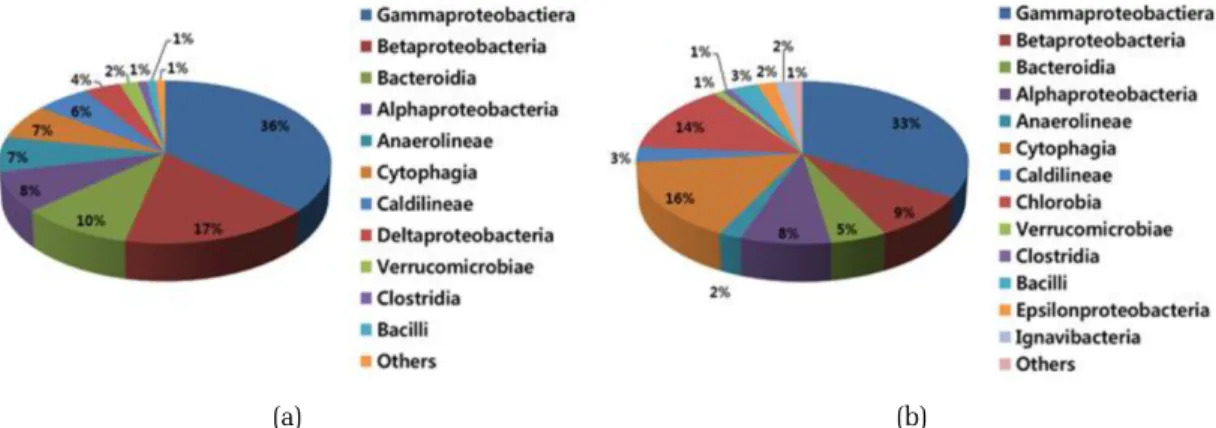 Fig. 9.  Genera classification of functional consortia in typical-DO  reactor and low-DO reactor