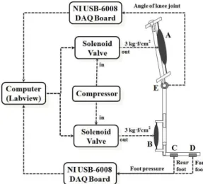 Fig. 2. Knee ankle foot orthosis and control block diagram for gait  assist(A,  B:  artificial  pneumatic  muscle,  C,  D:  foot  pressure sensor, E: absolute encoder).
