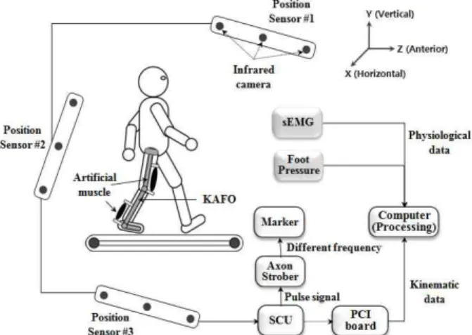 Fig. 4. Experimental set-up for measurement of physiological and  kinematical signal.