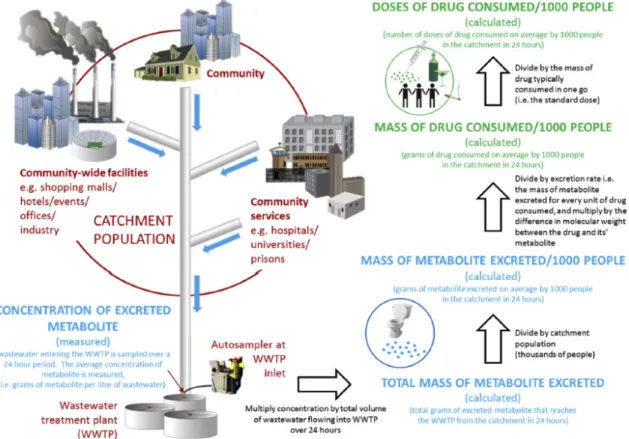 Fig. 1. Schematic of the population catchment area and methodology employed to convert measured concentration of substances in wastewater to mass loads or doses consumed per day per normalised population (reprinted from Australian Criminal Intelligence Com
