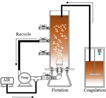 Fig. 1. Schematic diagram of the DAF unit.