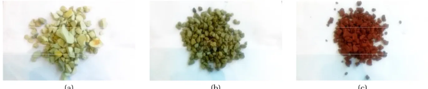 Fig. 5. Candidate media for multi-functional floating island ((a) Zeolite, (b) Volcanic stone, (c) Granular red-mud).