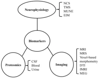 Table 1. Diagnostic criteria of ALS (Revised El Escorial Criteria) 1 1. Principles