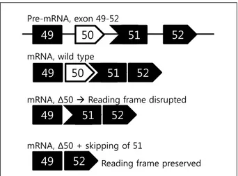 Figure 2. Skipping of dystrophin exon 51 to restore reading  frame.본  론1.  정지돌연변이(nonsense mutation)의 번역초과(read-through) (Fig