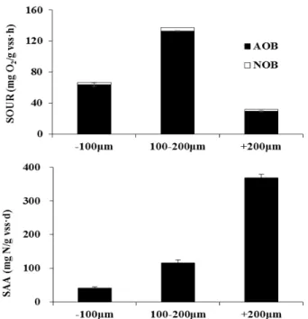 Fig. 9. The variations in specific activity for AOB and NOB  at operation time of 40 days.