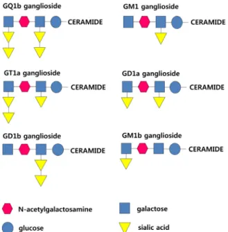 Table 1. Clinical features of various kinds of auto-immune  neuropathy according to each anti-ganglioside antibodies