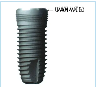 Fig. 2.  Reference point of implant 