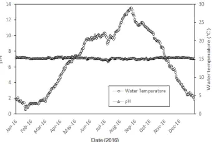 Fig. 4. pH and water temperature of influent for the clearwell.