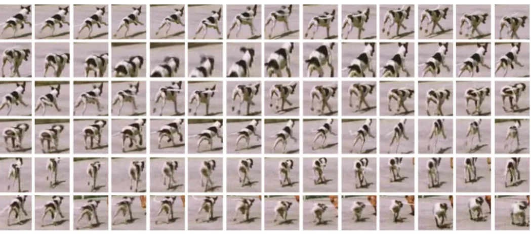 Fig. 8. Object tracking results based on change of the tracking window.
