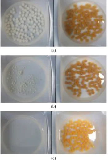 Fig. 2. Photograph of HCB (left) and HCB-G (right) with DI  (a), and 1% HCl solution after 2 min (b) and 24 h (c).