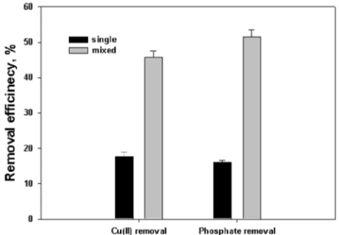 Fig. 3. Removal efficiency (%) of Cu(II) and phosphate at  single and mixed solution.