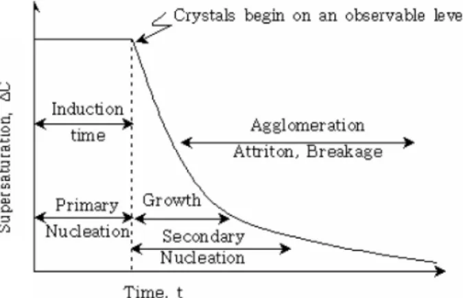 Fig. 1. Struvite crystallization process (Kim et al., 2008).