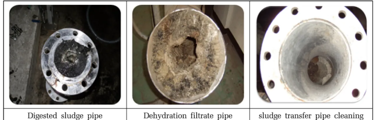 Fig. 3. Field struvite generation piping appearance.