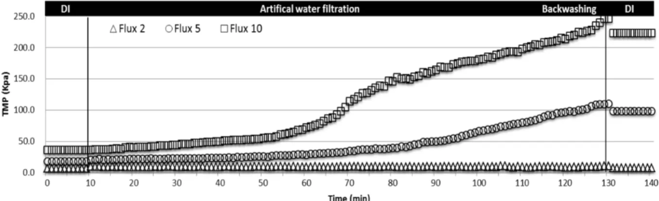 Fig. 4. Comparison of TMP at different flux in ceramic MF (without coagulation).
