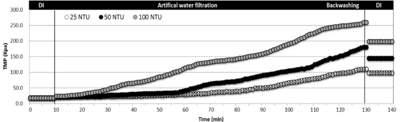 Fig. 6. Variation of TMP by feed turbidity concentrations (without coagulation).