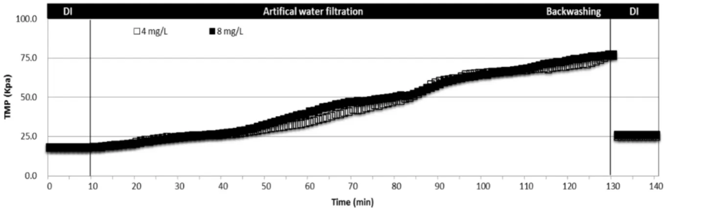 Fig. 9. Variation of TMP by feed DOC concentrations (with coagulation).