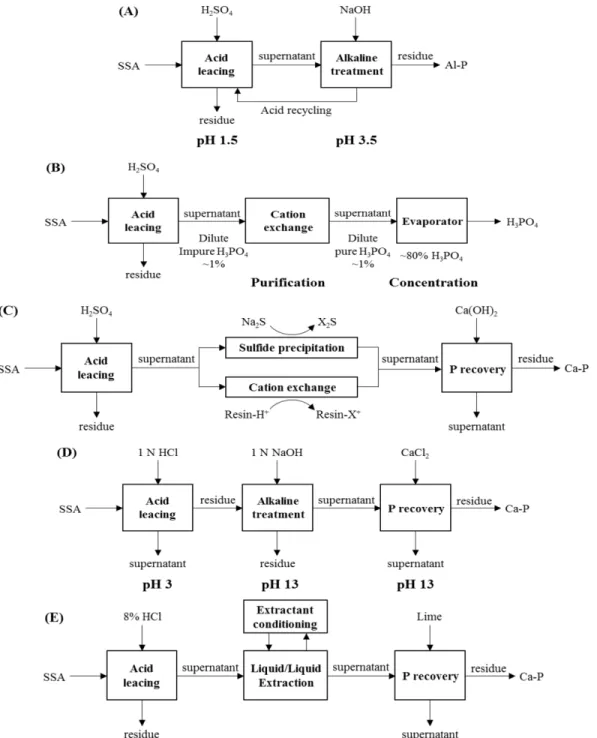 Fig. 7. Summary of some experimental processes for P recovery from SSA reported in the literature; (A) Schaum et al