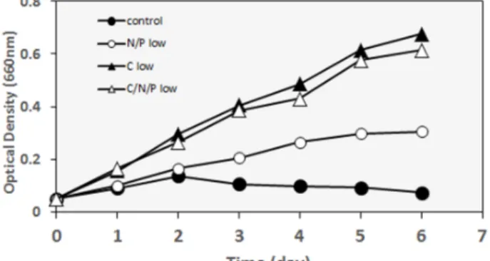 Fig. 4. Single cell counting of P. duplex according to nutrient  concentration.