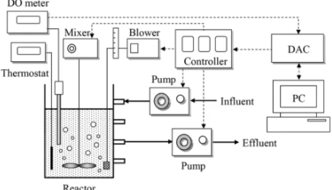 Fig. 1. Schematic of the SBR system.
