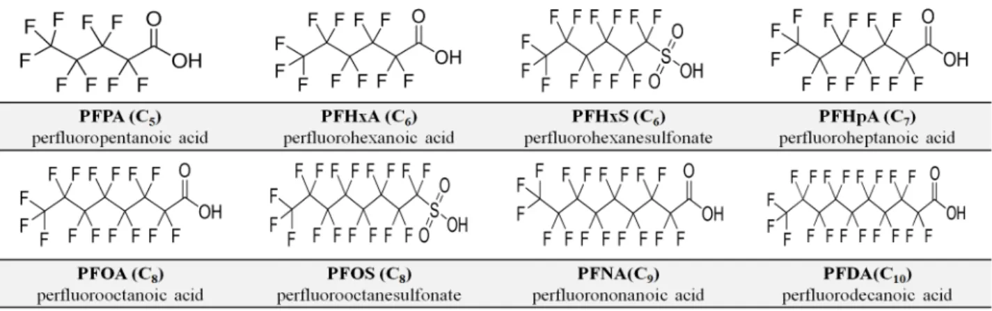 Fig. 2. Locations of sampling sites for PFCs.