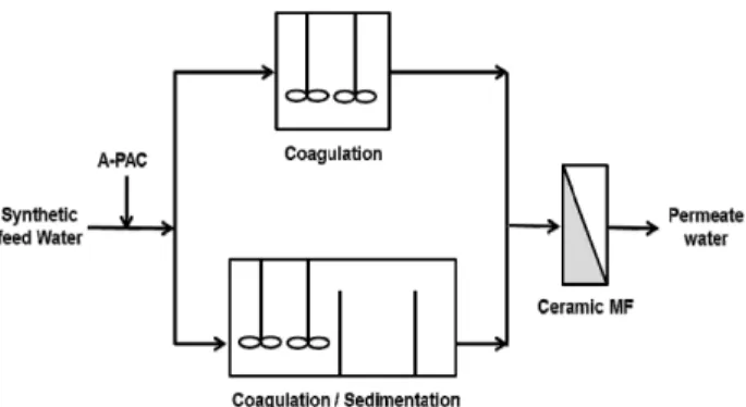 Fig. 1. Schematic of seawater desalination pretreatment system  using Ceramic MF.