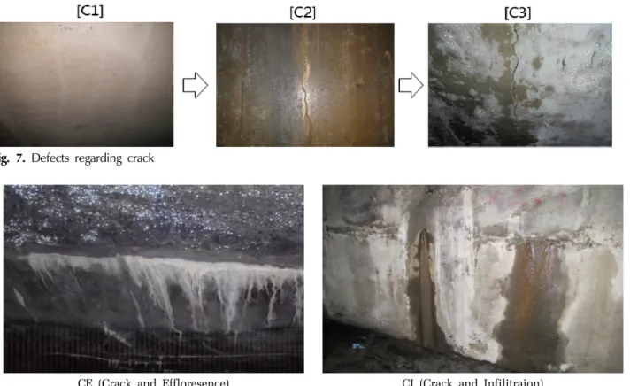 Fig. 7. Defects regarding crack