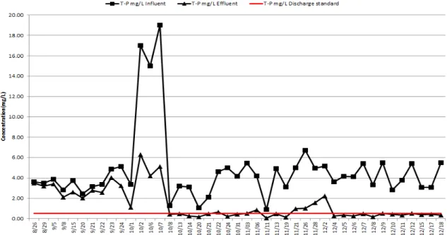 Fig. 12. Removal efficiency of TP.