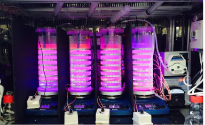 Fig. 1. Experimental microalgae cultivation setup for survey  the effects of light irradiation interval.