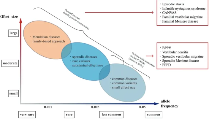 Fig. 1. Application of genetic study according to allele frequencies and effect sizes