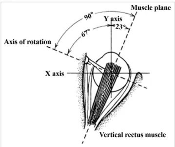 Table 1. Action of the Extraocular Muscles from the Primary Position