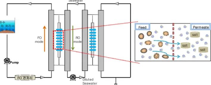 Fig. 1. A conceptual model of FO-RO hybrid system for application with wastewater for feed solutions and seawater for draw solutions