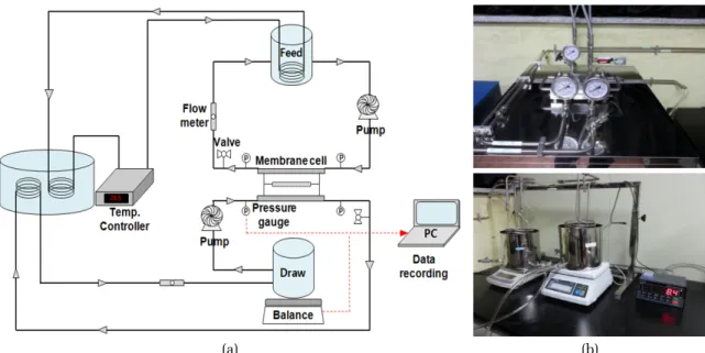 Fig. 2. (a) Schematic diagram of FO system, and (b) image of FO operating for fouling test