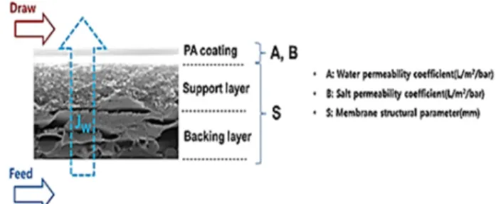 Fig. 1. SEM image of PRO membrane with backing layer 유도용액과  유입수의  농도가  정해져  있을  경우 이 상적으로 얻을 수 있는 삼투압차이는 결정된다
