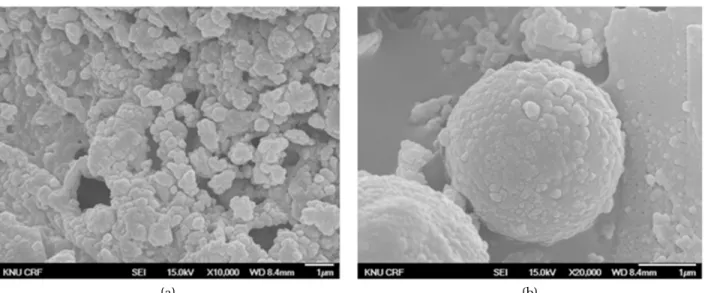 Fig. 1. Scanning electron microscopic images of the raw sewage sludge ash. The bars represent the size of the ash particles (A: x 10000; B: x 20000)