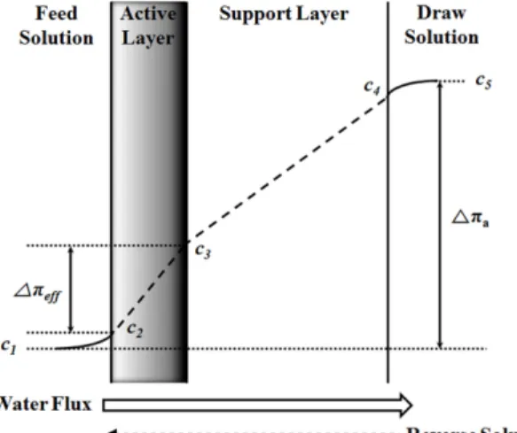 Fig. 1. Schemetic representation of concentration polarization  effect across FO membrane.