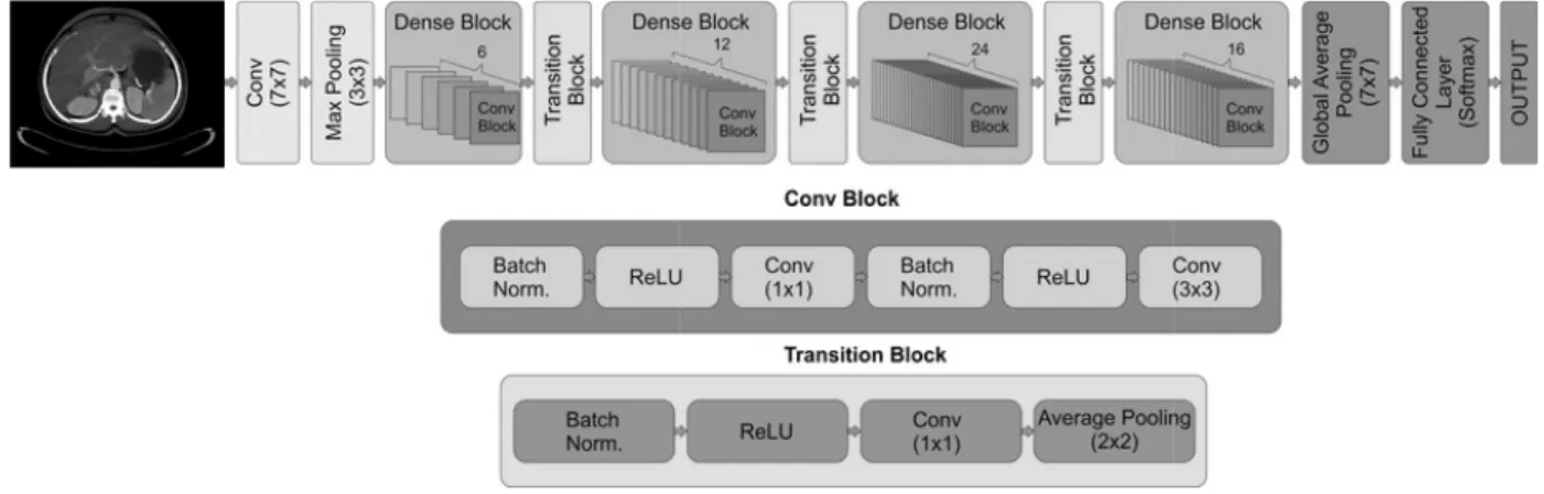 Fig. 6. Results of Cirrhosis Determination using Artificial  Intelligence, Normal (Phase), Cirrhosis (Bottom)